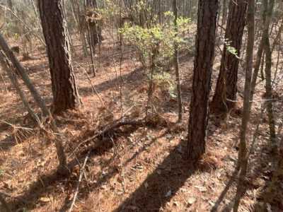 Residential Land For Sale in Wesson, Mississippi