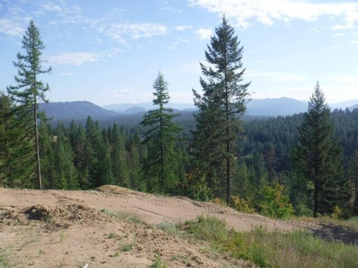 Picture of Residential Land For Sale in Loon Lake, Washington, United States