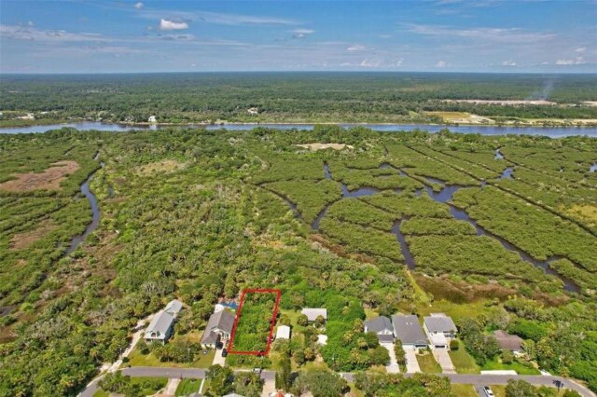 Picture of Residential Land For Sale in Flagler Beach, Florida, United States