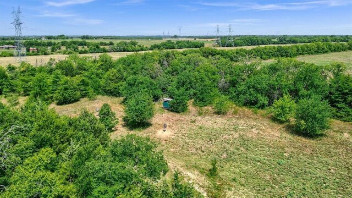 Picture of Residential Land For Sale in Weston, Texas, United States