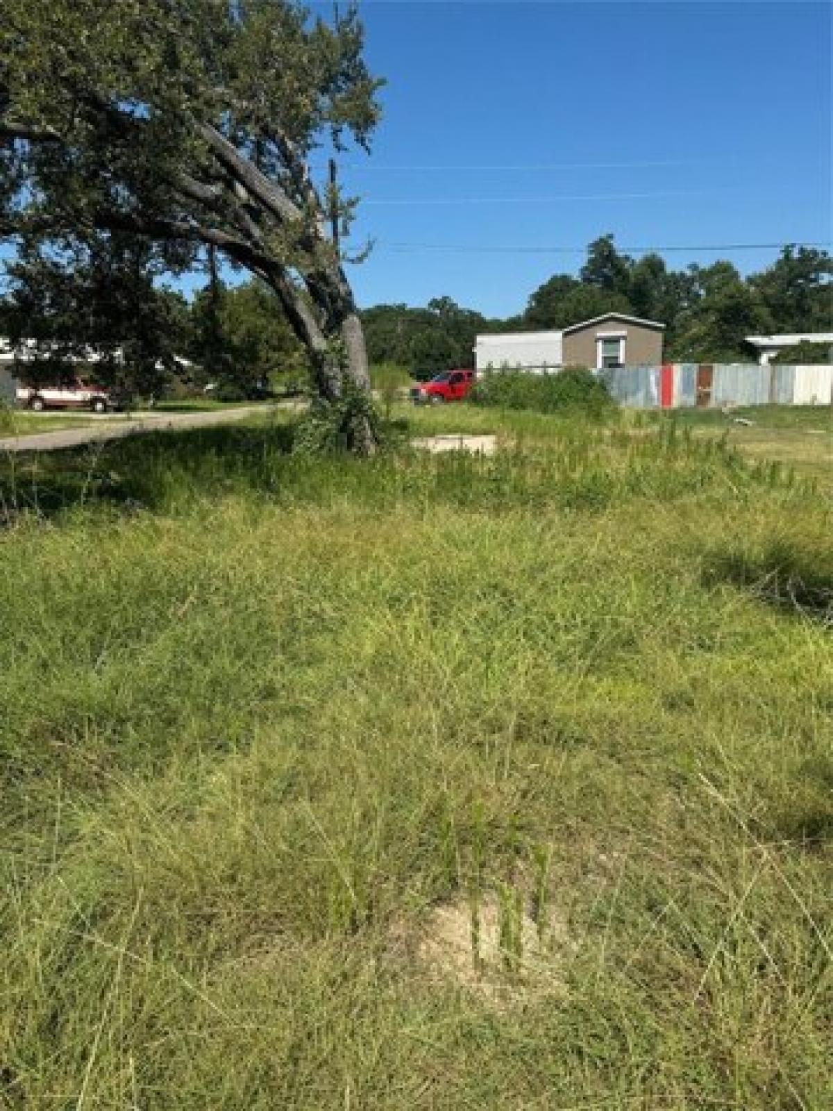 Picture of Residential Land For Sale in Gordonville, Texas, United States