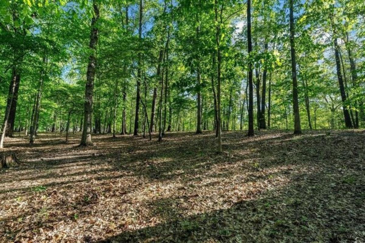 Picture of Residential Land For Sale in Bentonville, Arkansas, United States