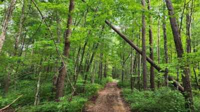 Residential Land For Sale in 