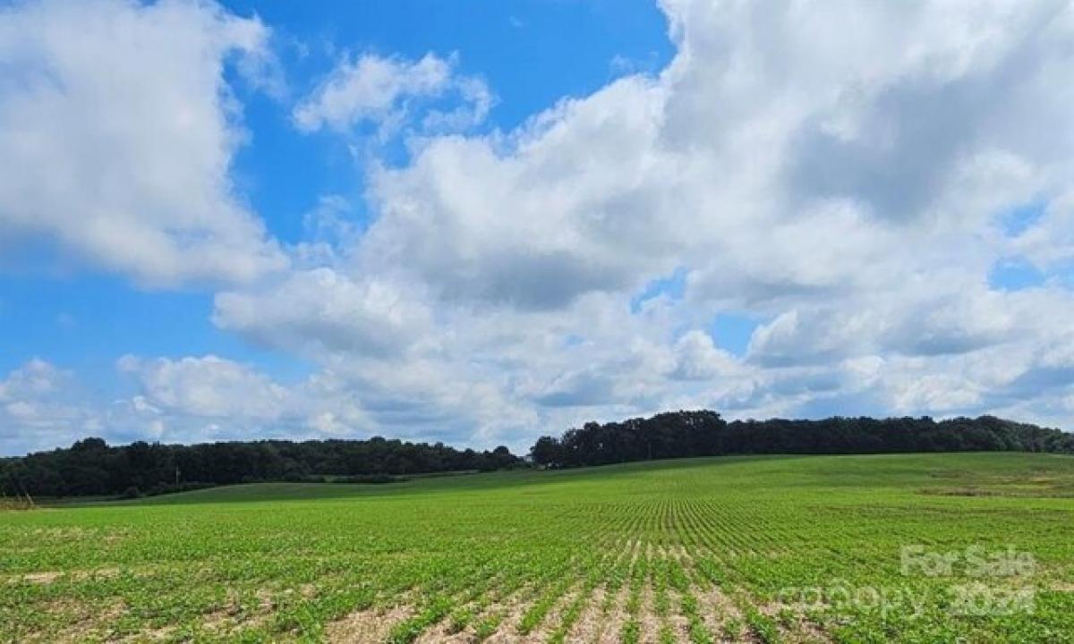 Picture of Residential Land For Sale in Peachland, North Carolina, United States