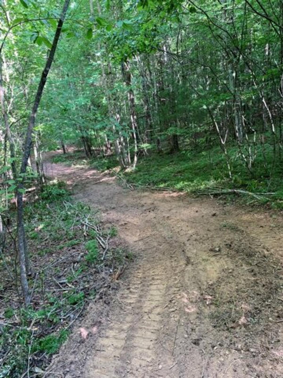 Picture of Residential Land For Sale in Mineral Bluff, Georgia, United States