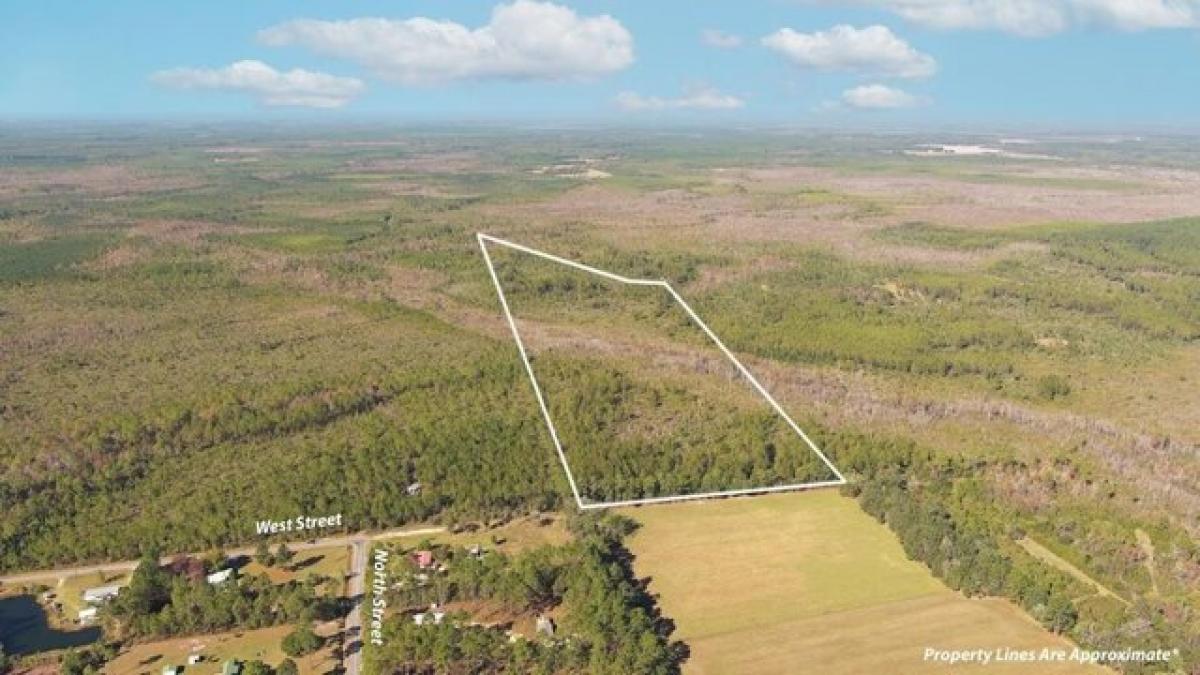 Picture of Residential Land For Sale in Waycross, Georgia, United States