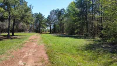 Residential Land For Sale in Pittsburg, Texas