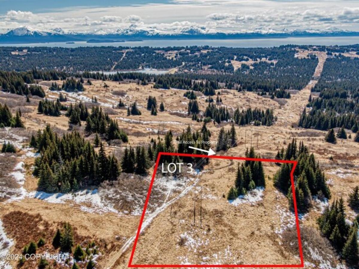 Picture of Residential Land For Sale in Homer, Alaska, United States