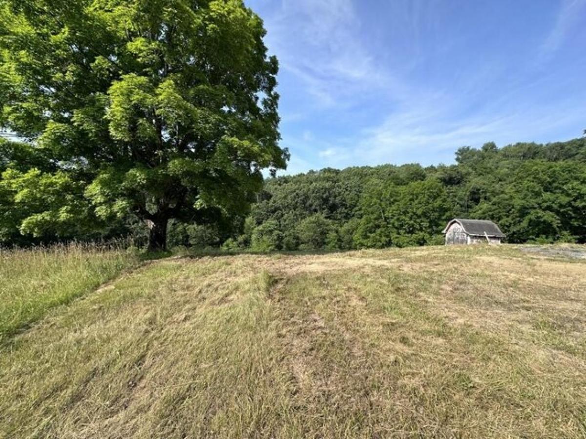 Picture of Residential Land For Sale in Ballard, West Virginia, United States