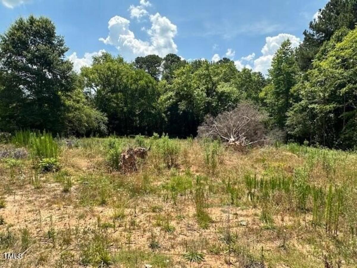 Picture of Residential Land For Sale in Louisburg, North Carolina, United States