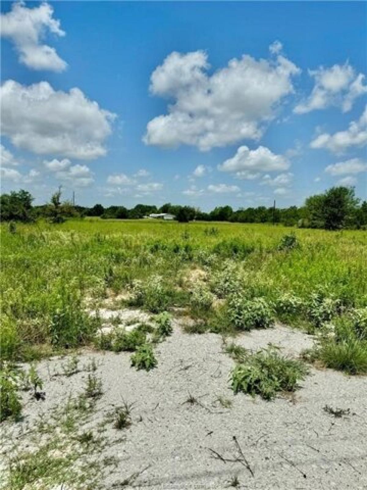 Picture of Residential Land For Sale in Bedias, Texas, United States