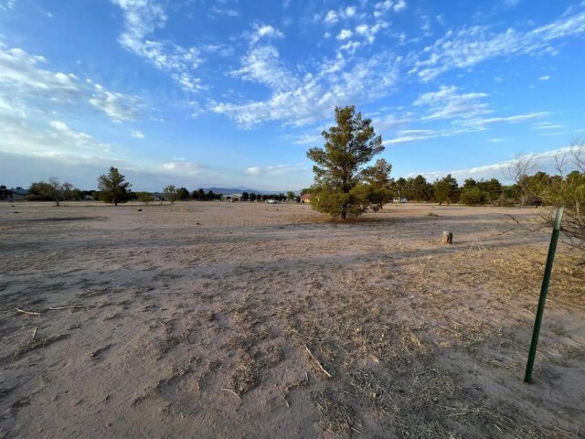 Picture of Residential Land For Sale in Tularosa, New Mexico, United States