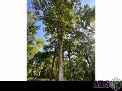 Residential Land For Sale in Slaughter, Louisiana