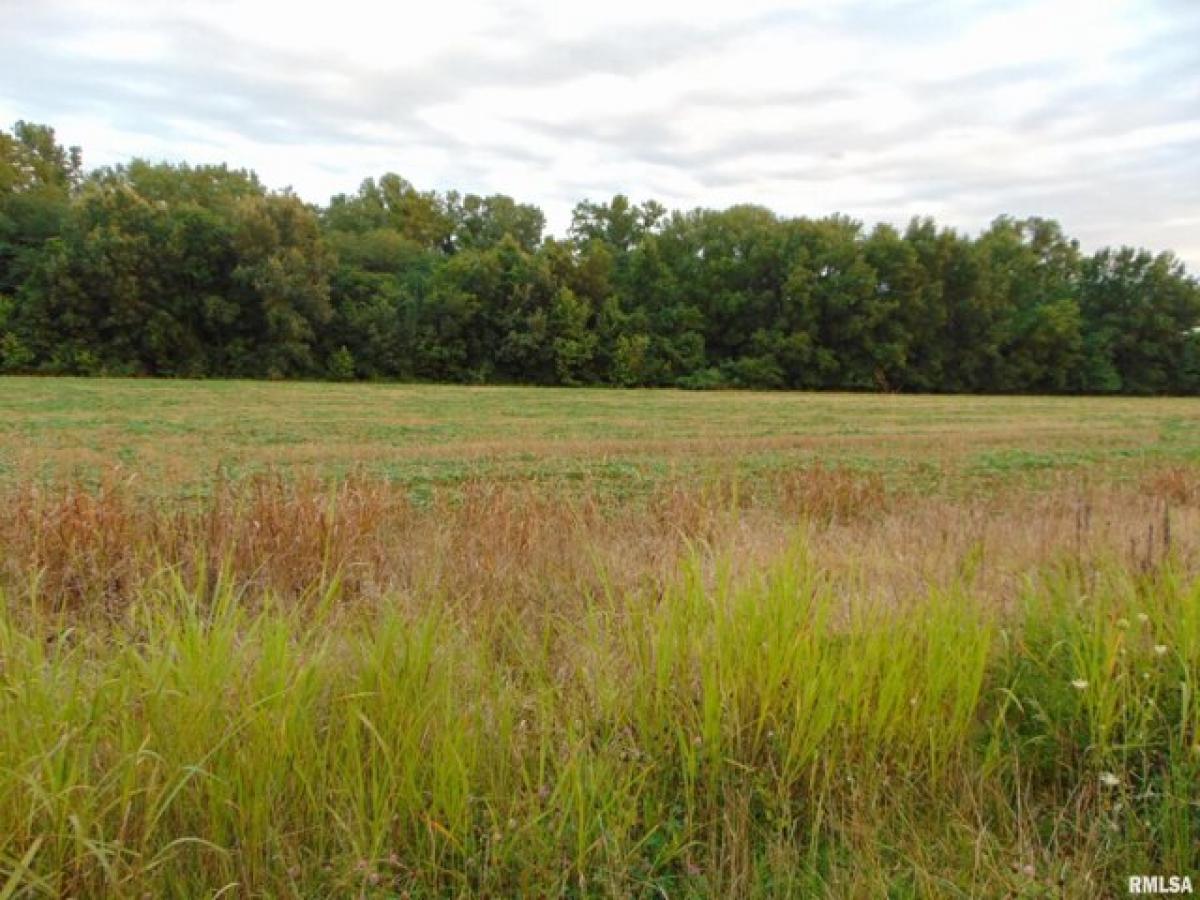 Picture of Residential Land For Sale in Elkville, Illinois, United States