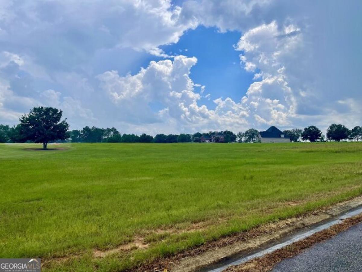 Picture of Residential Land For Sale in Hawkinsville, Georgia, United States