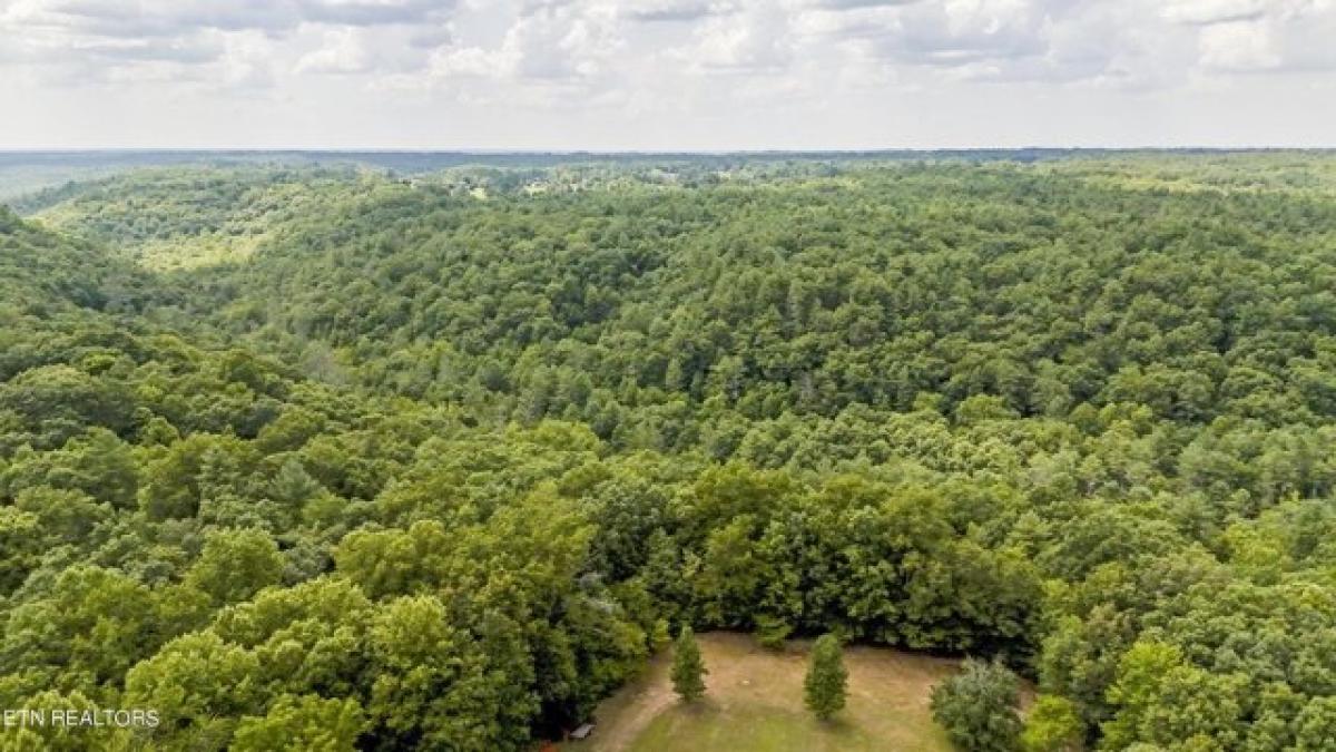 Picture of Residential Land For Sale in Oneida, Tennessee, United States