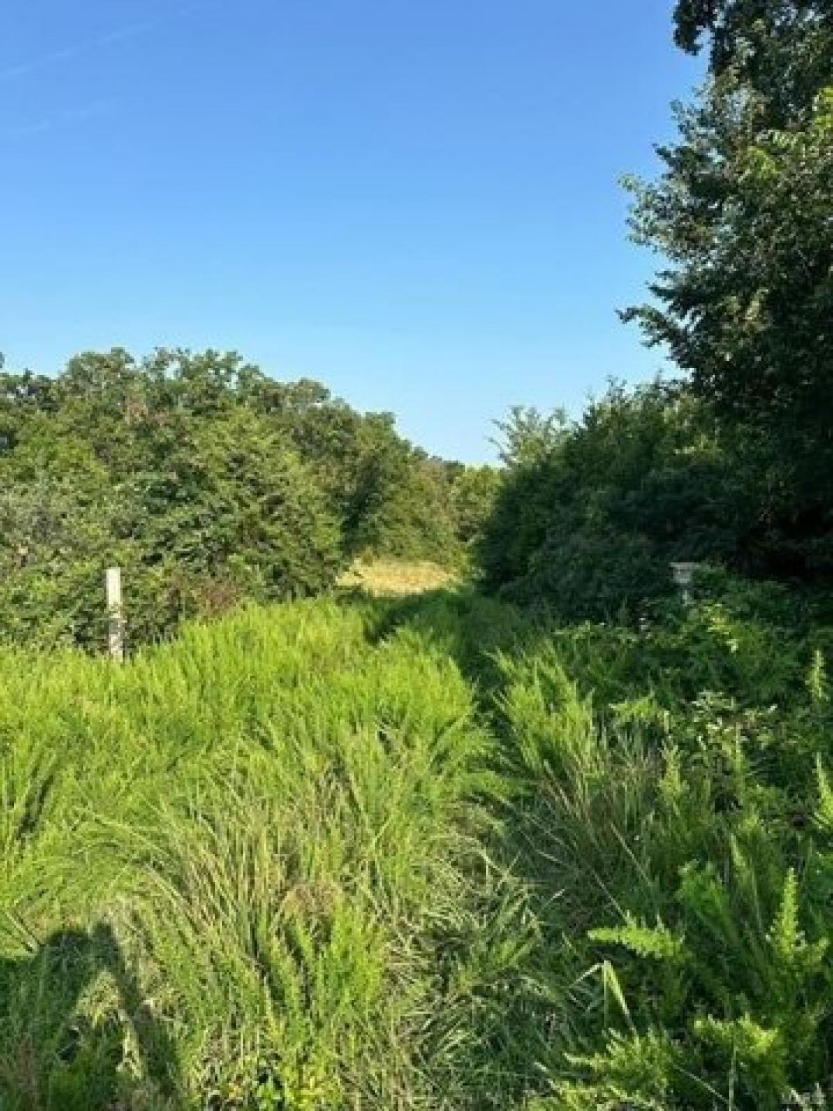 Picture of Residential Land For Sale in Sullivan, Missouri, United States