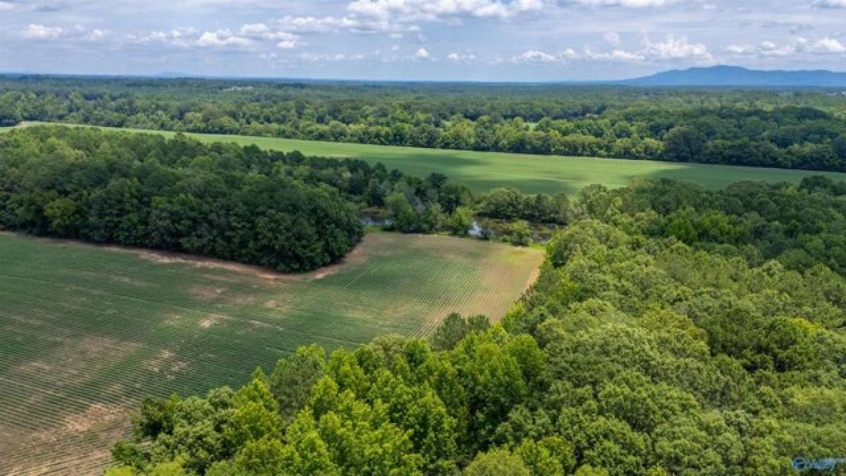 Picture of Residential Land For Sale in Gadsden, Alabama, United States