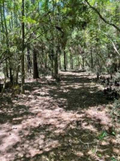 Residential Land For Sale in Hemphill, Texas