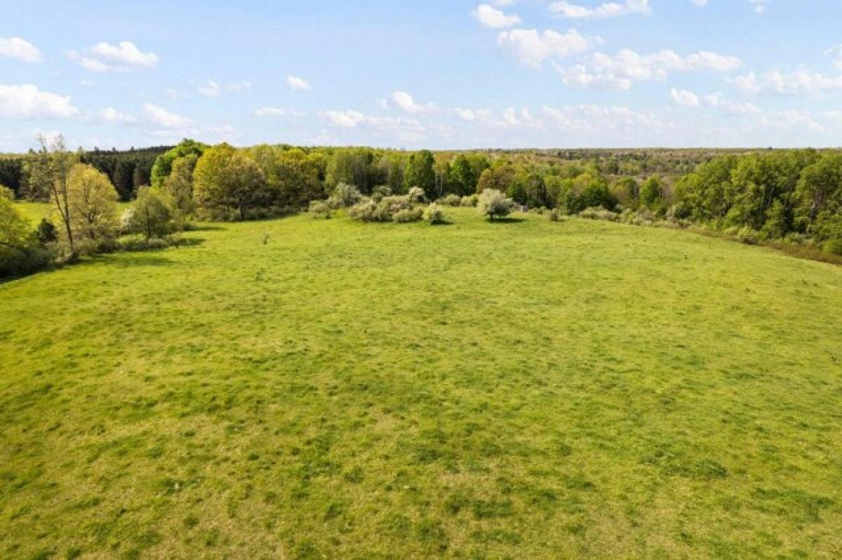 Picture of Residential Land For Sale in Luther, Michigan, United States