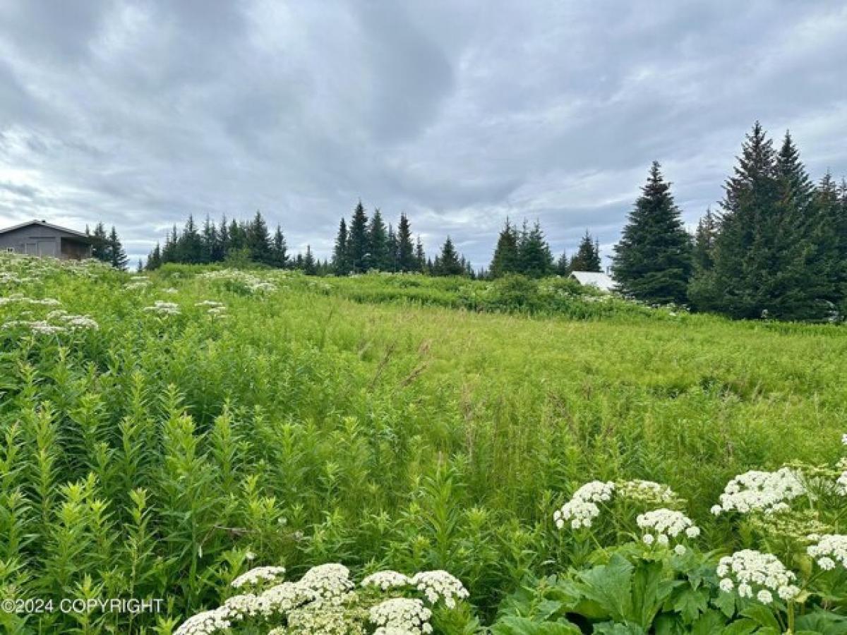 Picture of Residential Land For Sale in Homer, Alaska, United States