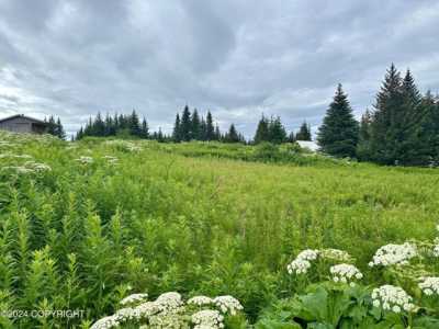 Residential Land For Sale in Homer, Alaska