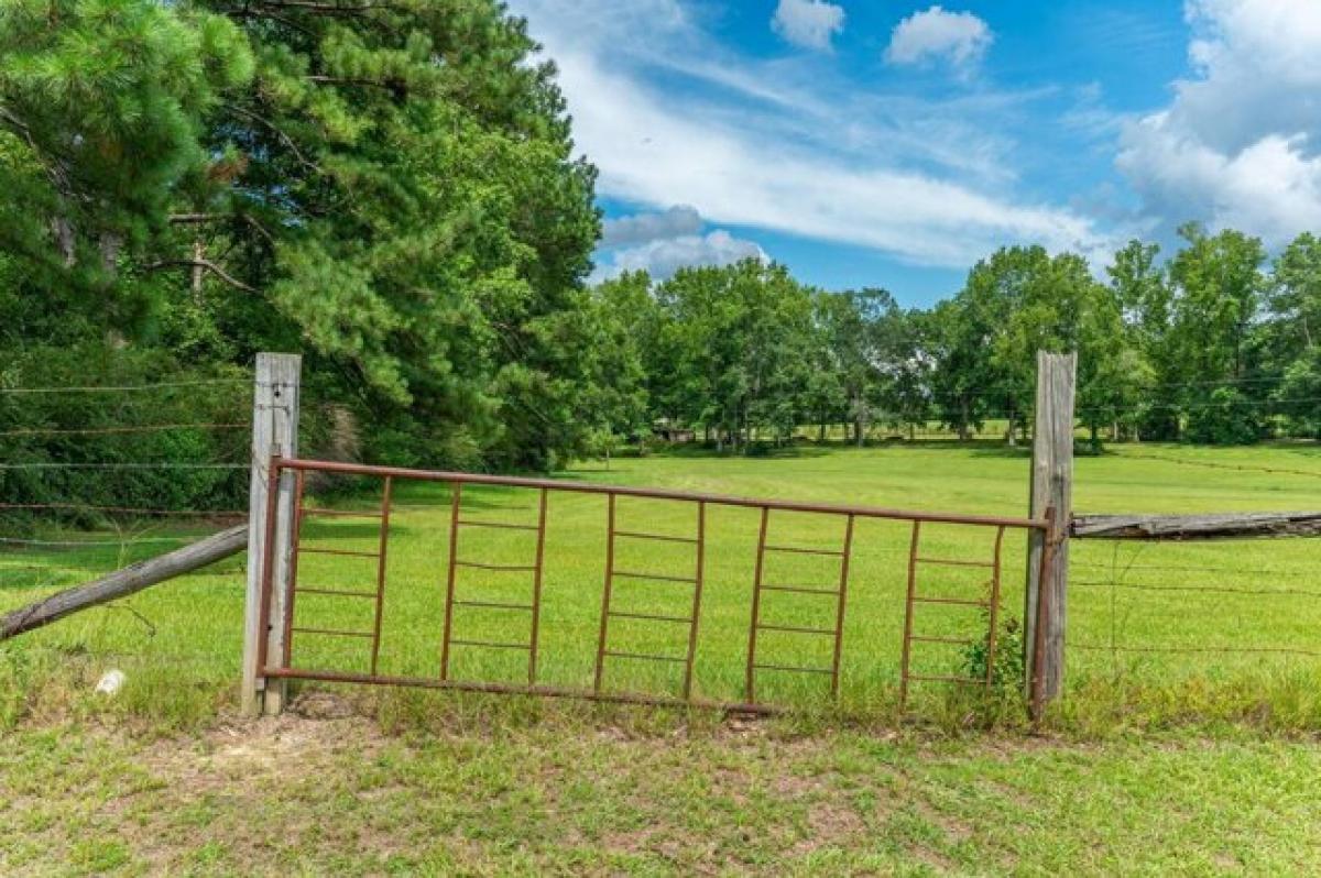 Picture of Residential Land For Sale in Florala, Alabama, United States