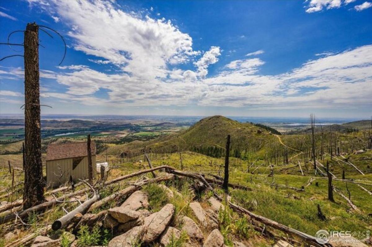 Picture of Residential Land For Sale in Bellvue, Colorado, United States