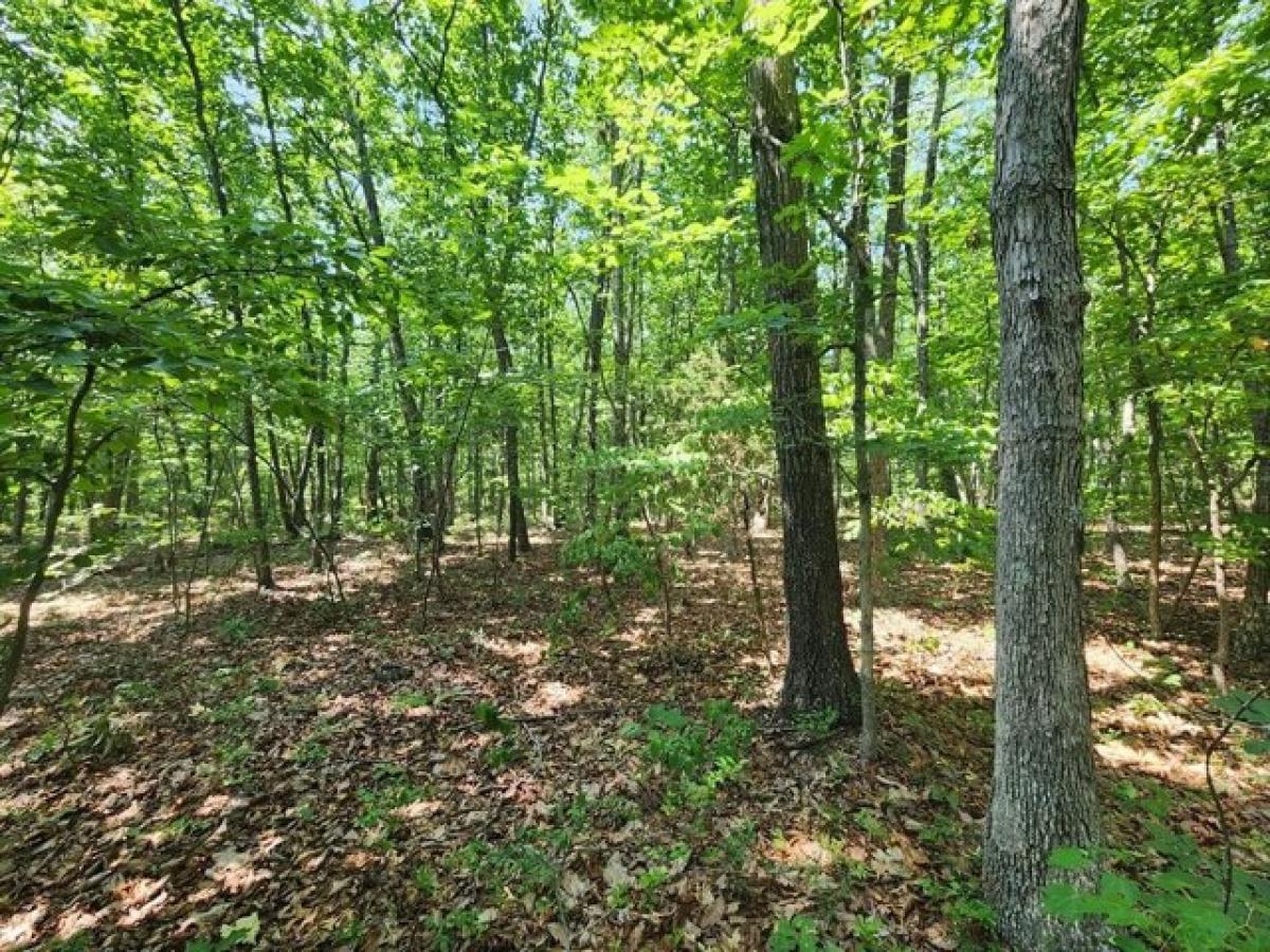 Picture of Residential Land For Sale in Pamplin, Virginia, United States