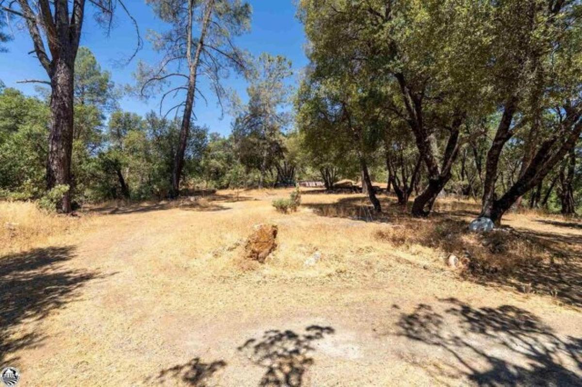 Picture of Home For Sale in Tuolumne, California, United States