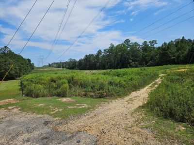 Residential Land For Sale in Carriere, Mississippi