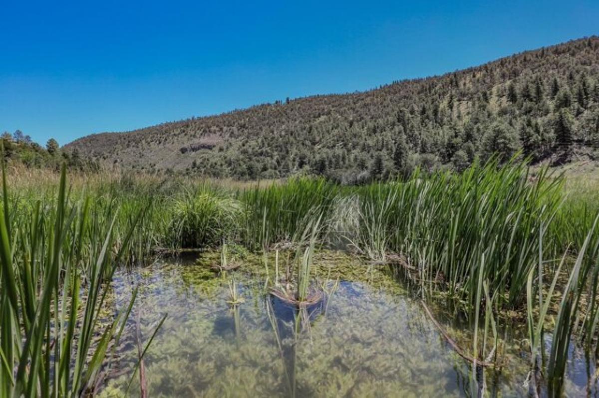 Picture of Residential Land For Sale in Mayhill, New Mexico, United States