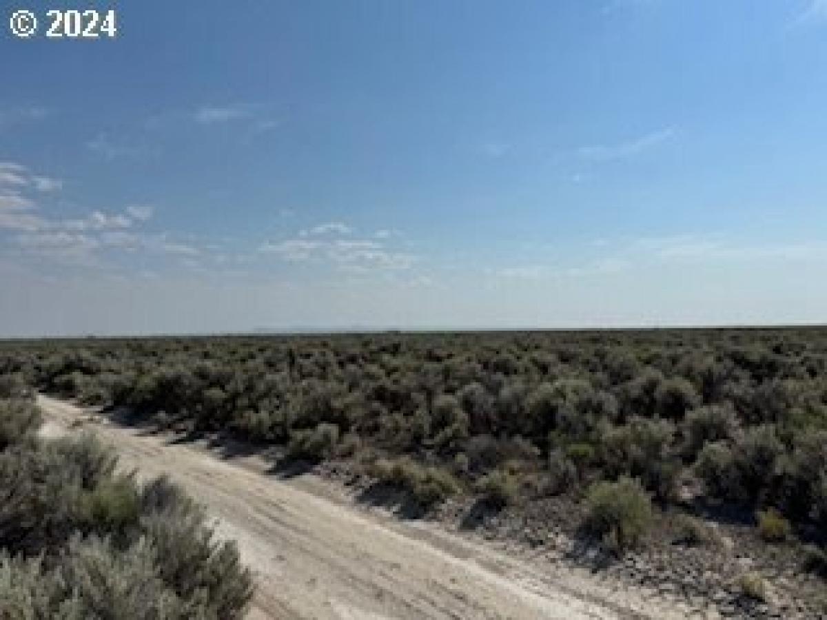 Picture of Residential Land For Sale in Christmas Valley, Oregon, United States