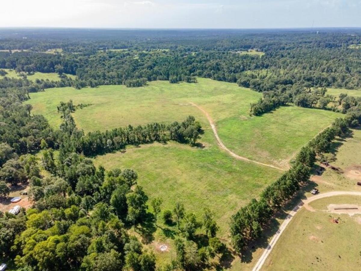 Picture of Home For Sale in Pollok, Texas, United States