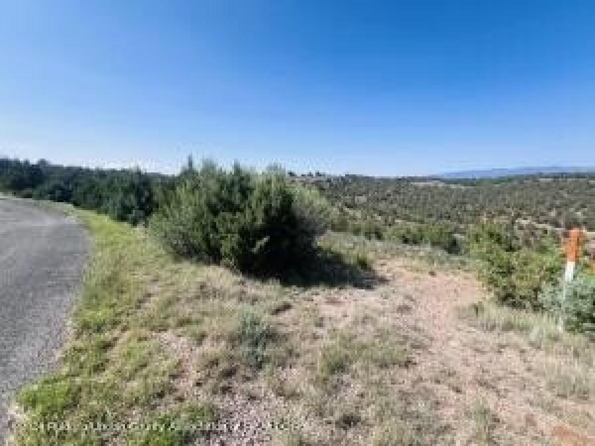 Picture of Residential Land For Sale in Alto, New Mexico, United States