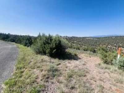 Residential Land For Sale in Alto, New Mexico