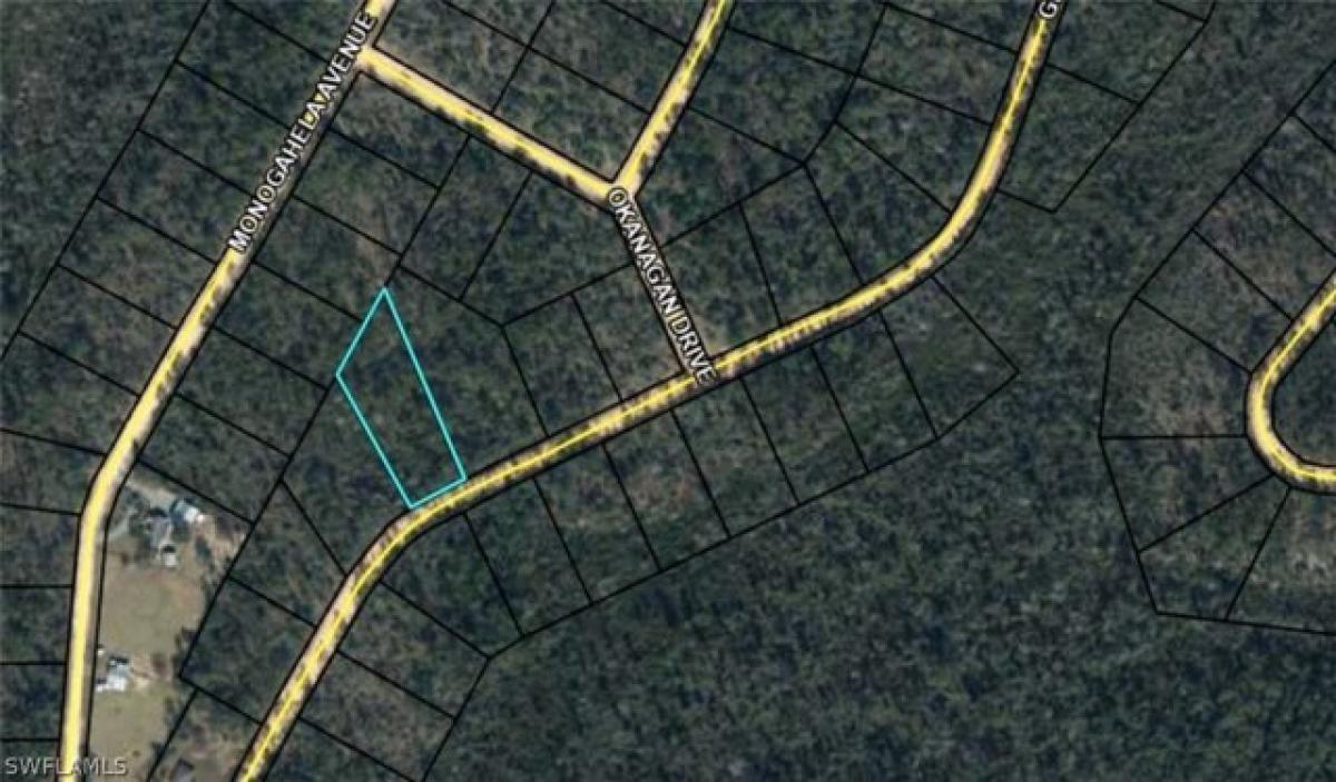 Picture of Residential Land For Sale in Alford, Florida, United States