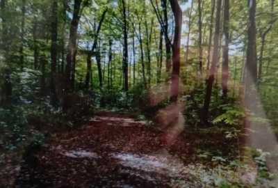 Residential Land For Sale in Corning, New York