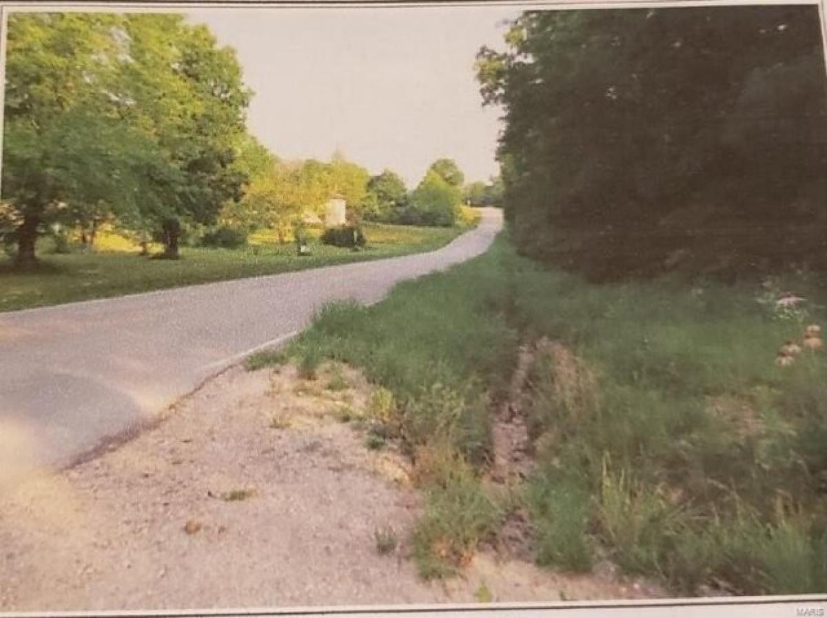 Picture of Residential Land For Sale in Falcon, Missouri, United States