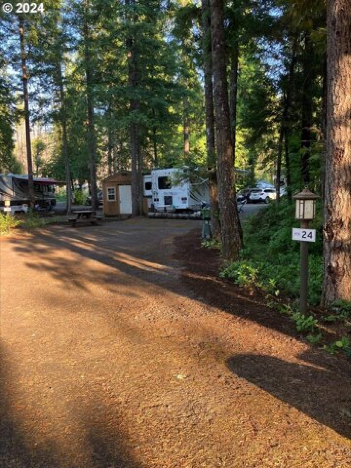 Picture of Residential Land For Sale in Blue River, Oregon, United States