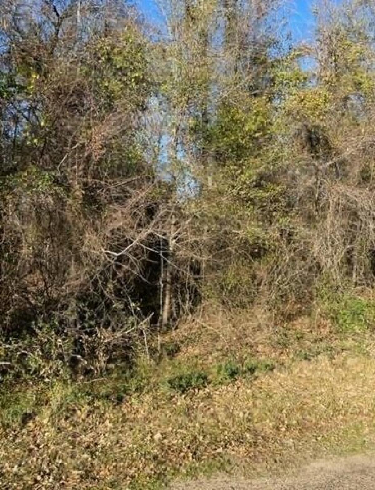 Picture of Residential Land For Sale in Trinidad, Texas, United States