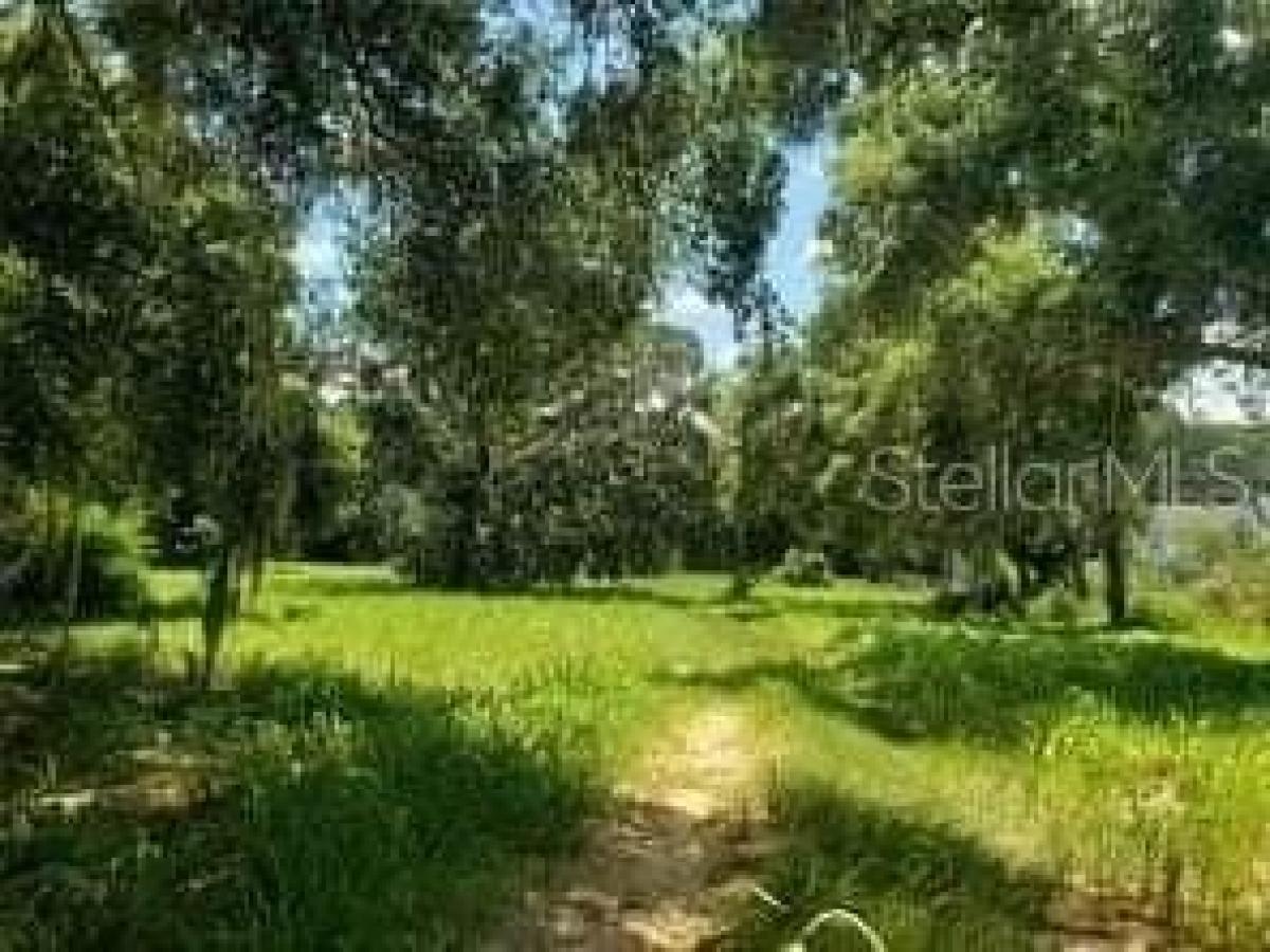 Picture of Residential Land For Sale in Clermont, Florida, United States