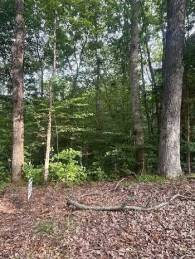 Residential Land For Sale in Mount Sherman, Kentucky