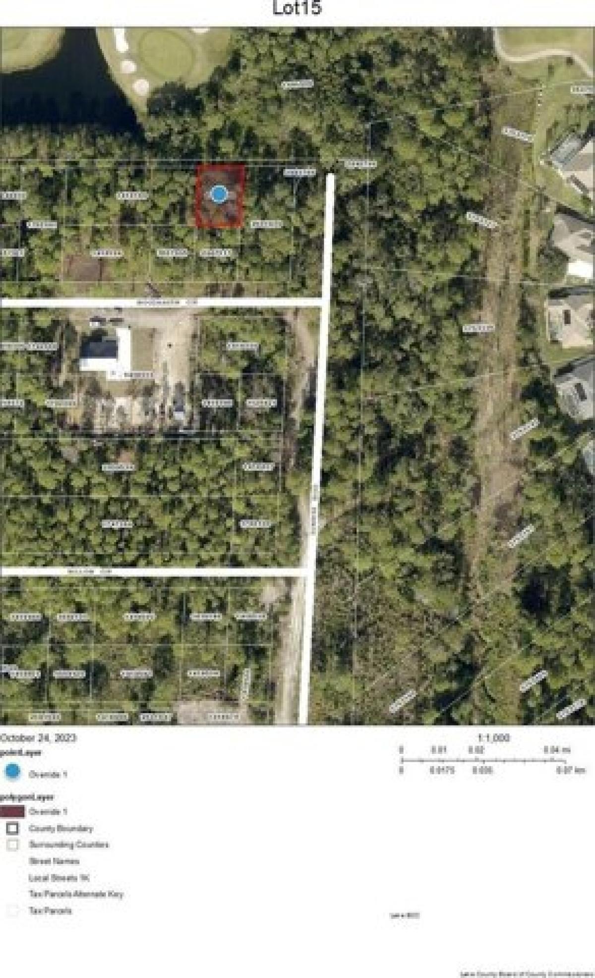 Picture of Residential Land For Sale in Mount Dora, Florida, United States