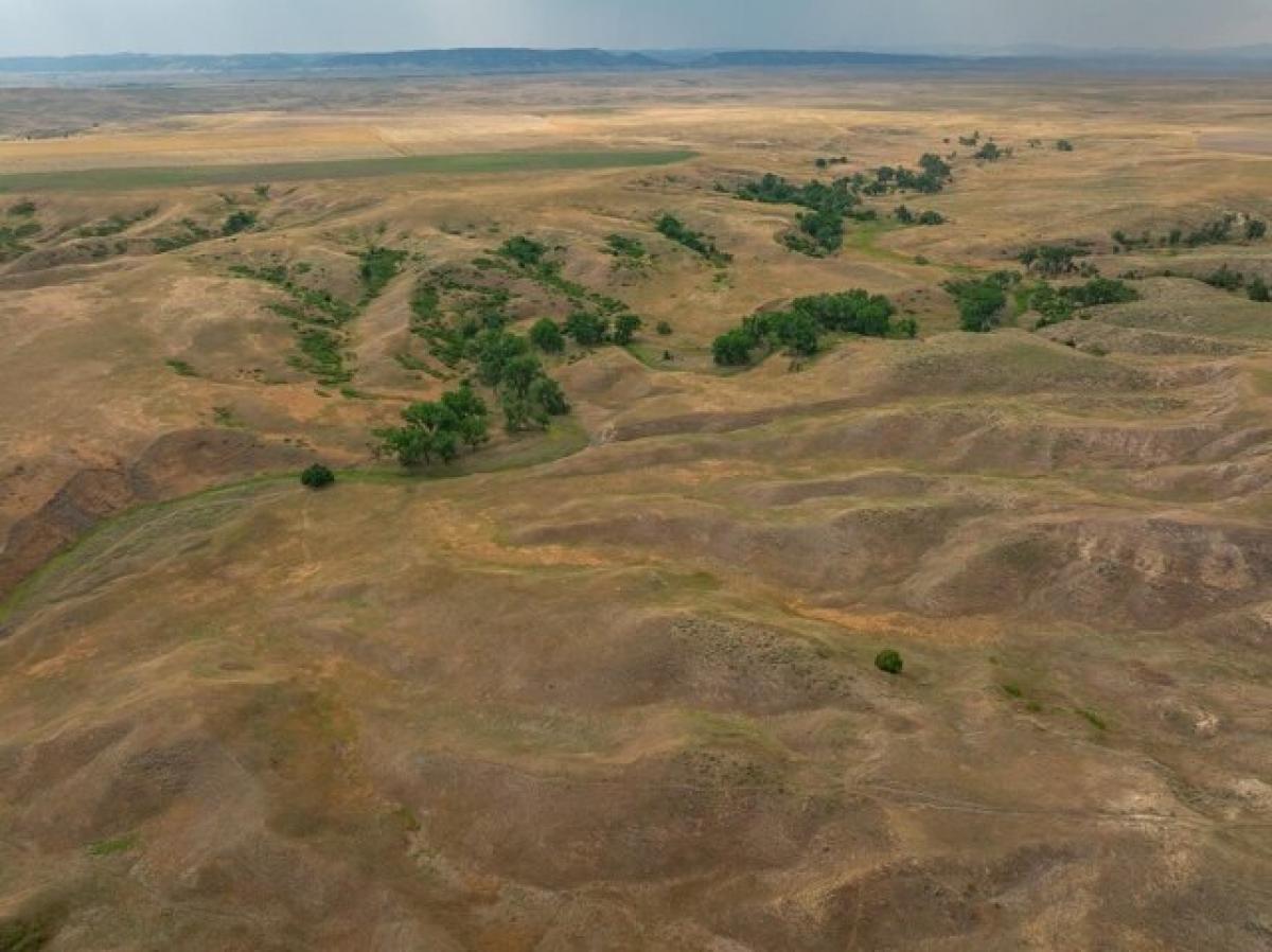 Picture of Residential Land For Sale in Buffalo Gap, South Dakota, United States