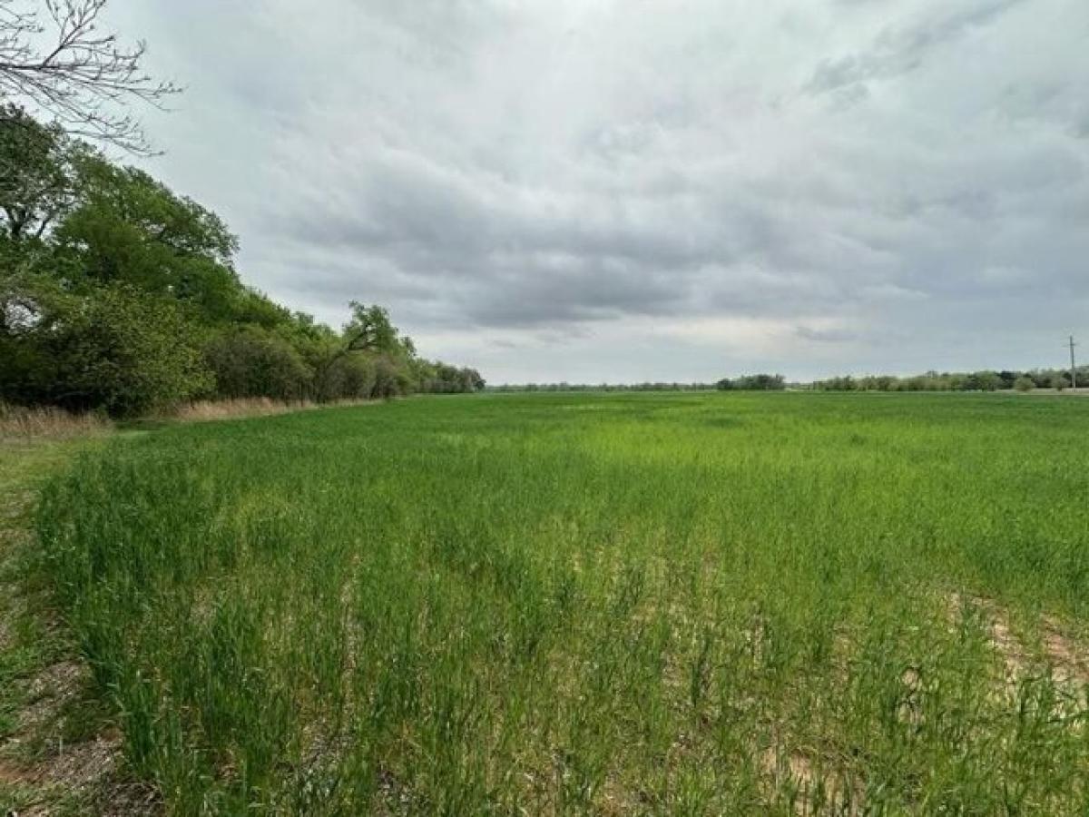 Picture of Residential Land For Sale in Tonkawa, Oklahoma, United States