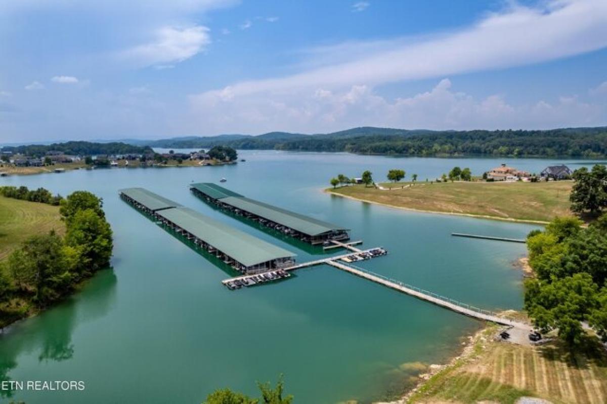 Picture of Residential Land For Sale in Sharps Chapel, Tennessee, United States