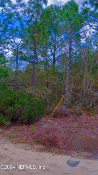 Residential Land For Sale in Florahome, Florida