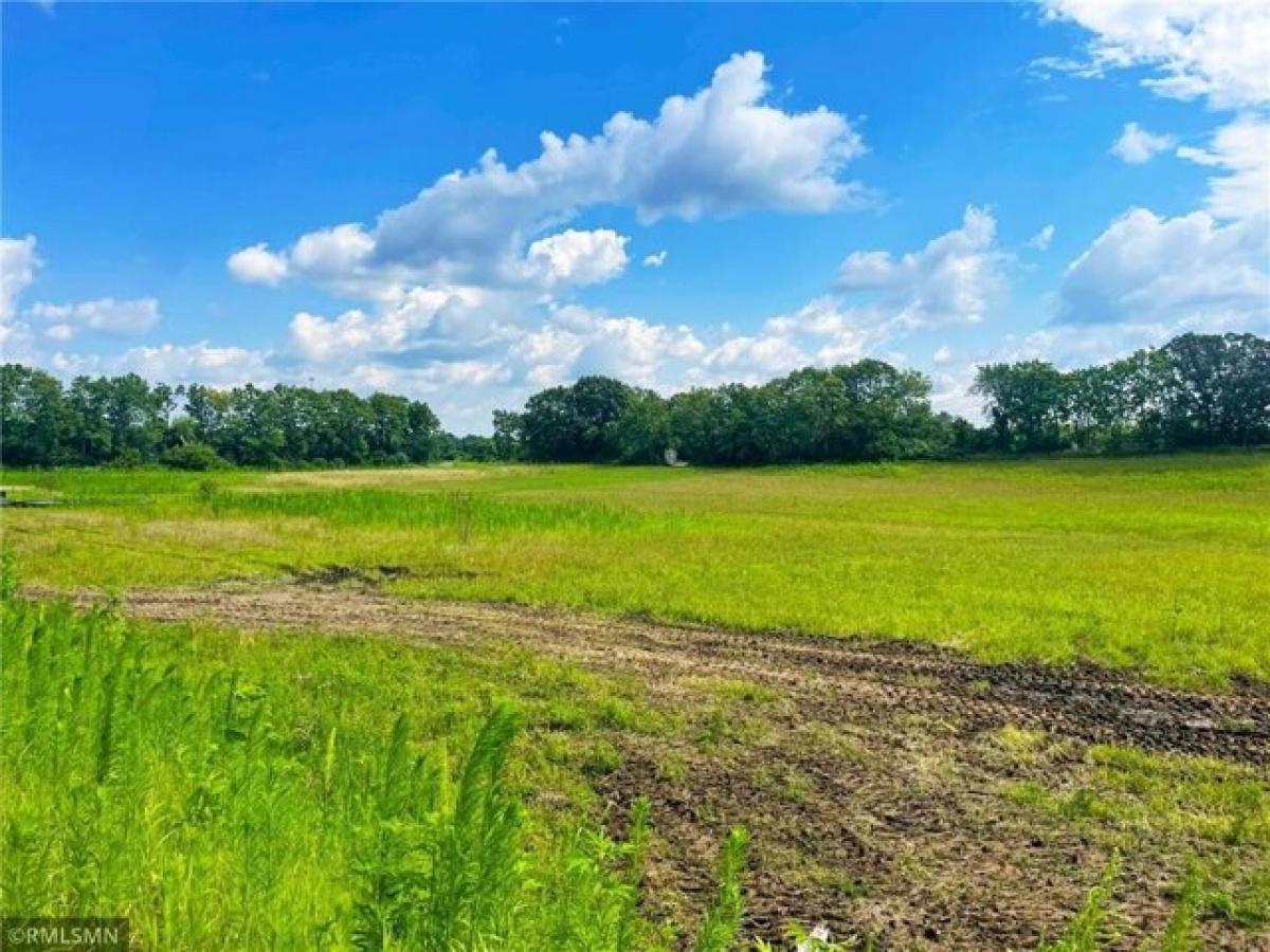 Picture of Residential Land For Sale in Annandale, Minnesota, United States