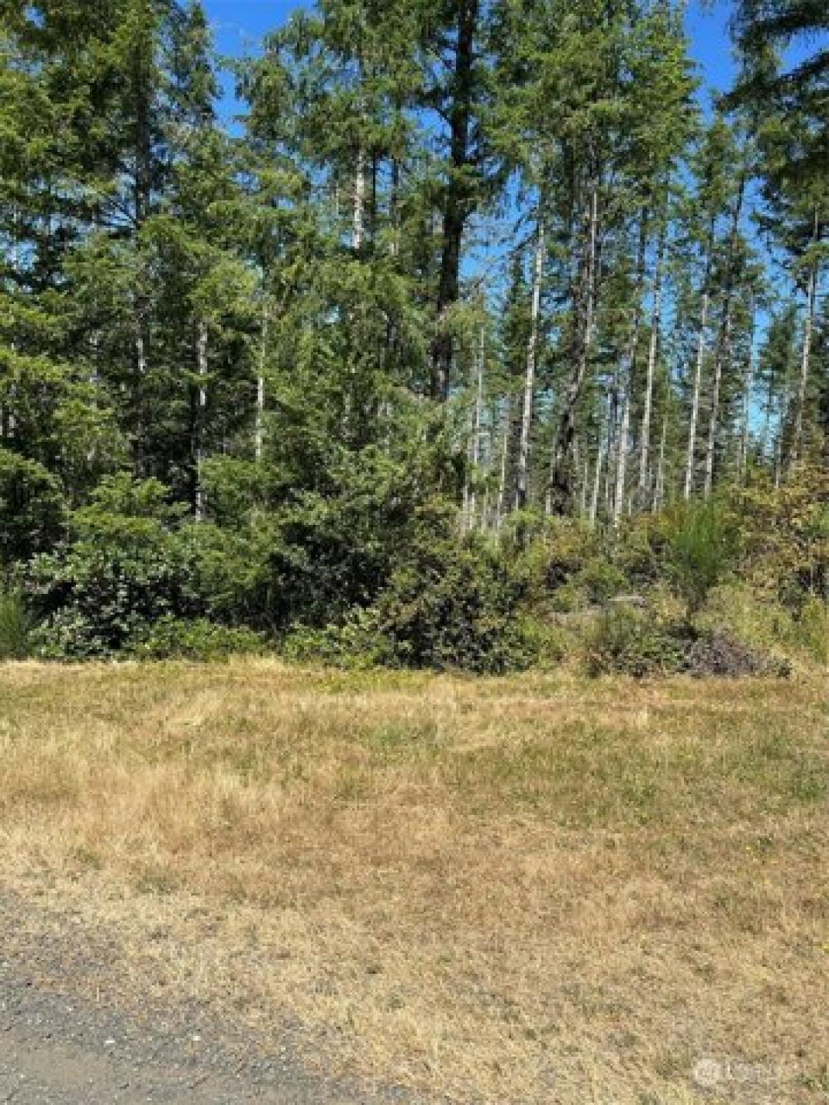 Picture of Residential Land For Sale in Belfair, Washington, United States